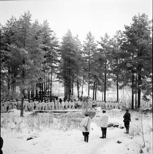 In Finland's wintery woods ...