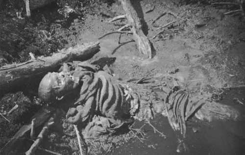 corpse