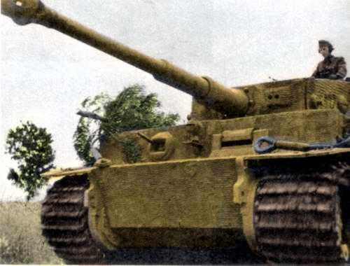 Tiger colorized