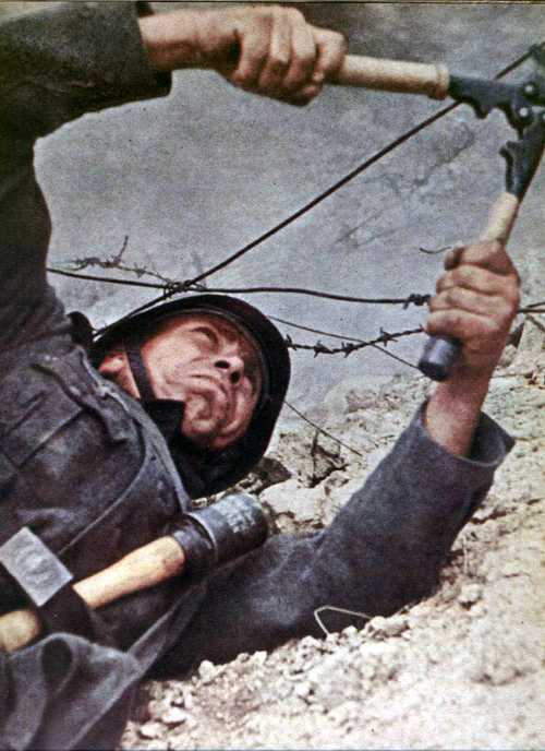 Engineer