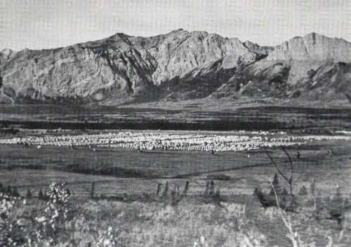 German POW camp, Alberta, Canada
