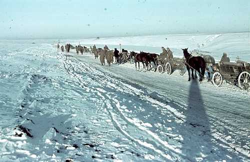 Snow ahead, snow behind...