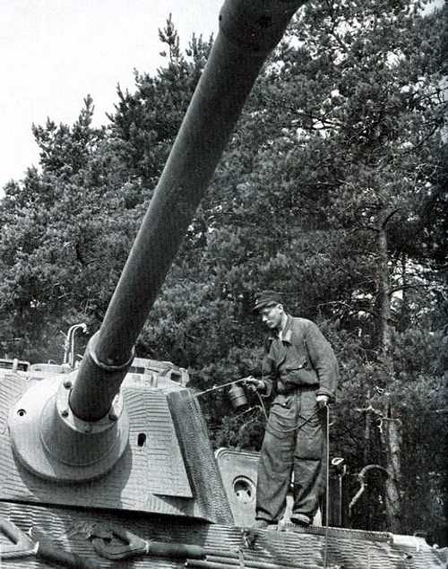 Field applied Camo Tiger II