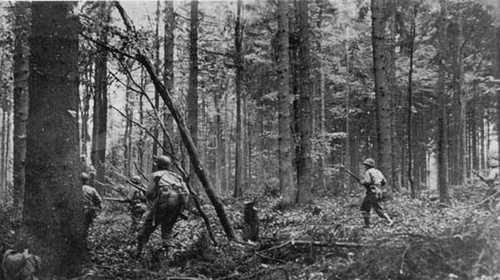 Fighting in the Hurtgen Forest