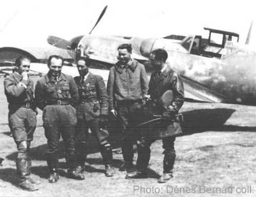 9th Fighter Group pilot