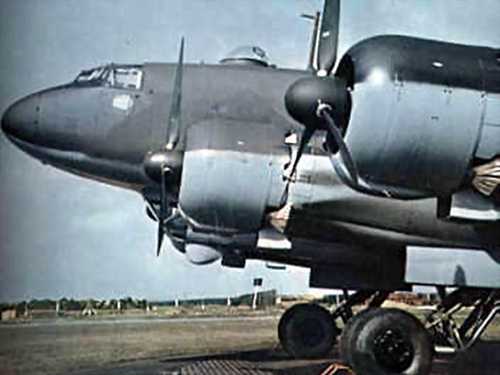 condor
