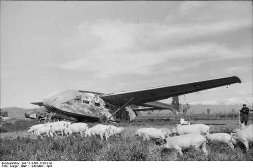 Pigs and glider
