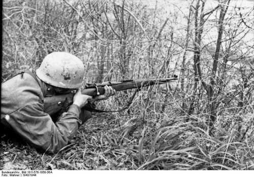 Taking good aim