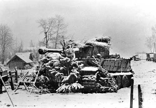 Winter wonderland