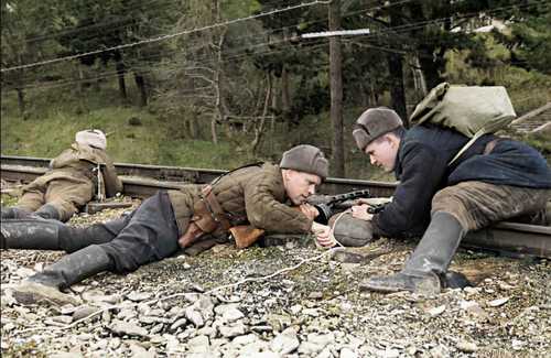 Partisans 
