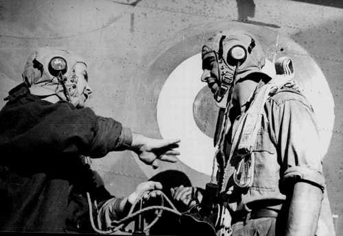 Co-belligerent pilots