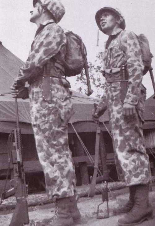 Para-Marines