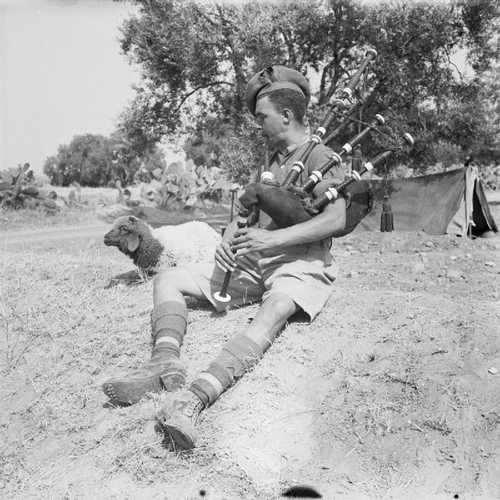Serenade in North Africa