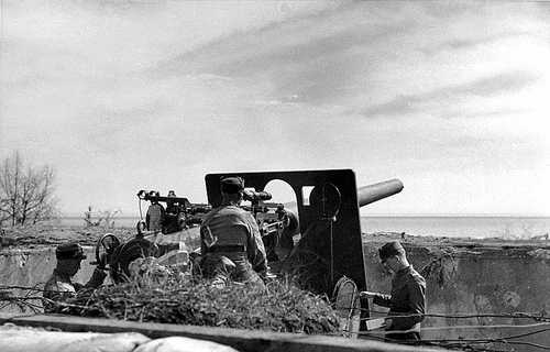 Coastal artillerymen