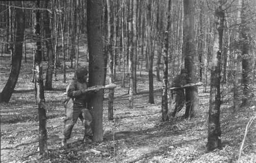 Captured panzerfausts