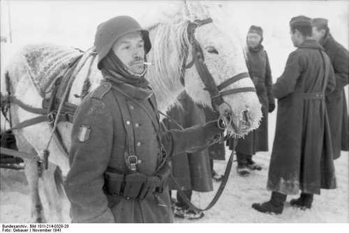 French volunteer with "ami".