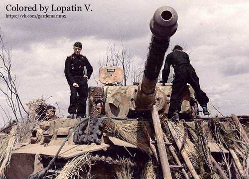 Tiger tank.