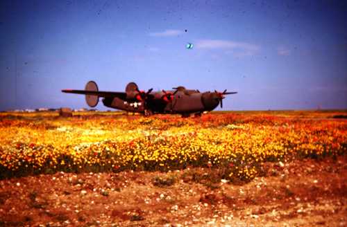 Liberator in Puglia