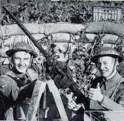 German Gun Destroyed German Plane