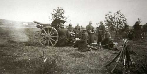 Lithuanian artilery in the field
