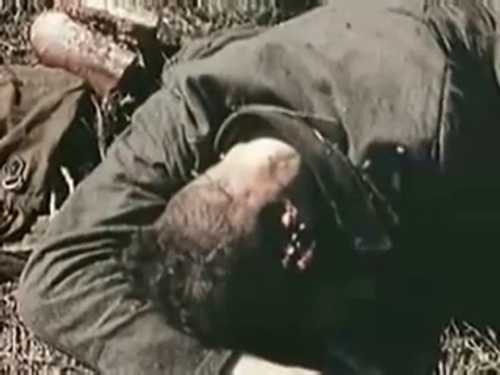 U.S. Army Footage