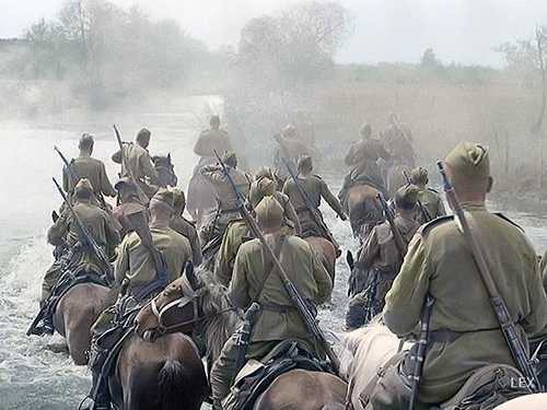 Horses
