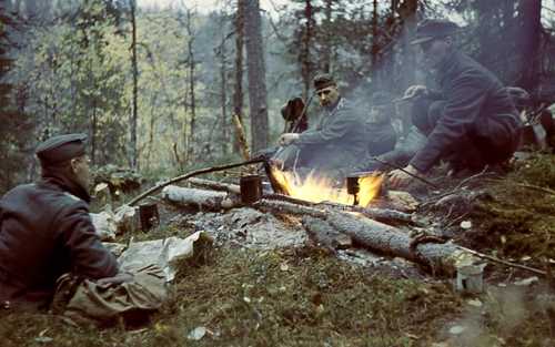 Finnish and German soldiers in the woods 