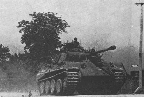 Panther