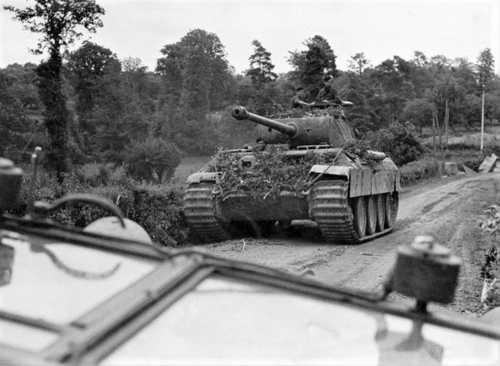 Panther on the move
