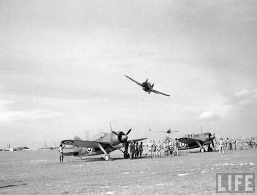 Low flying Brewster Buffalo's