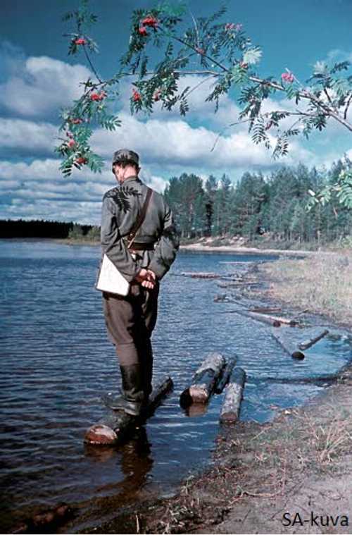 Olavi Paavolainen
