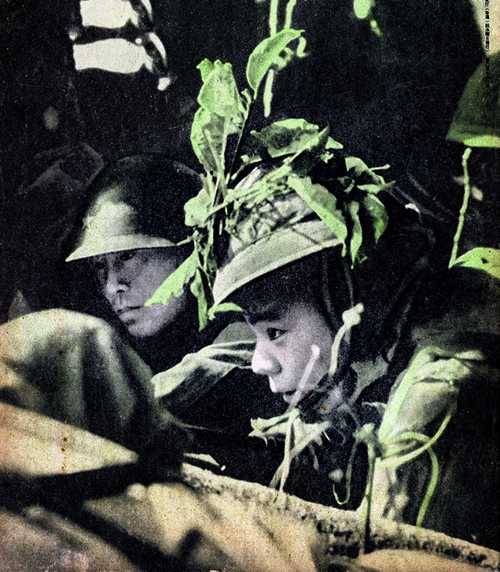 New Georgia Islands 1943