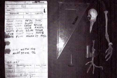 Dead Pigeons Tell No Tales 2