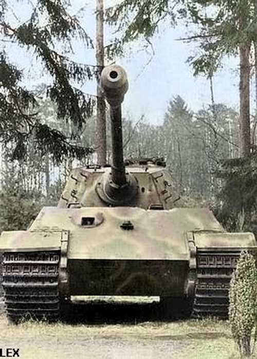 Tiger II close-up (col.)