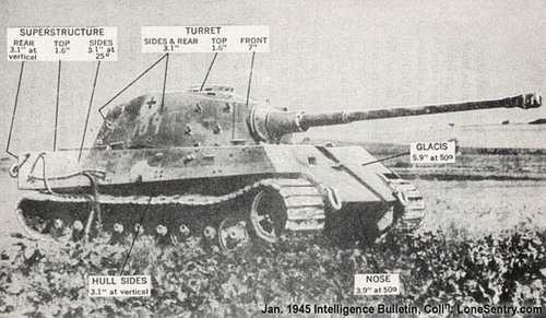 King Tiger