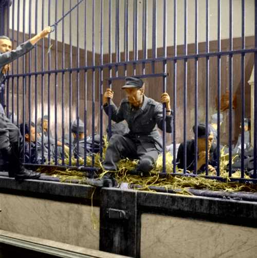 Antwerpia ZOO 1944