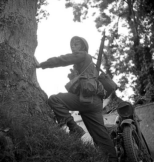 Dispatch Rider takes cover