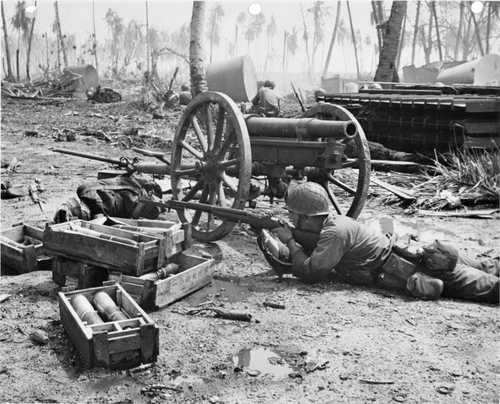 Enemy gun for defensive purpose