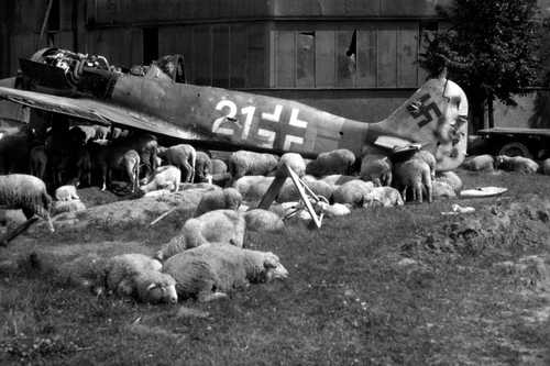 Wrecked German Plane in Nuremberg