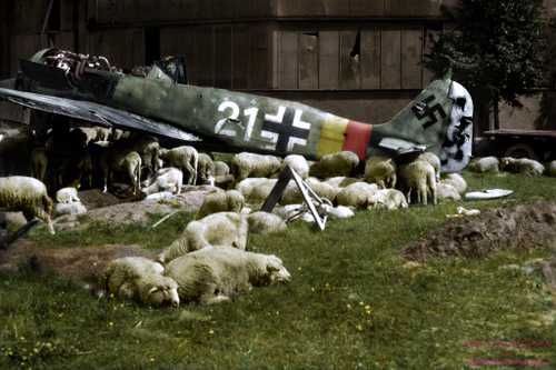 Fw 190A-8 fighter.