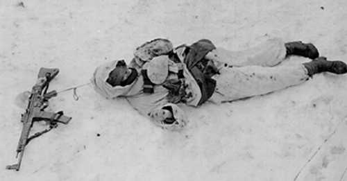 snowy death
