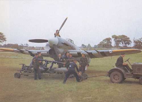 D-Day Typhoon