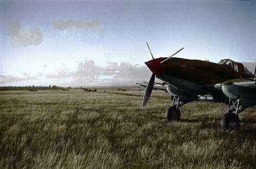 IL-2