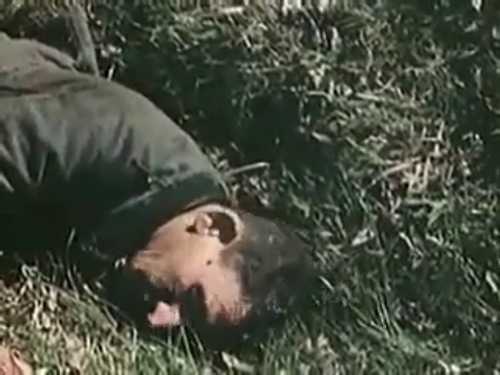 U.S. Army Footage