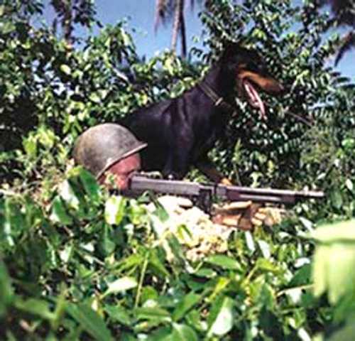 K-9 partner