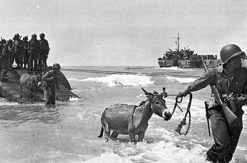 Sicilian landings