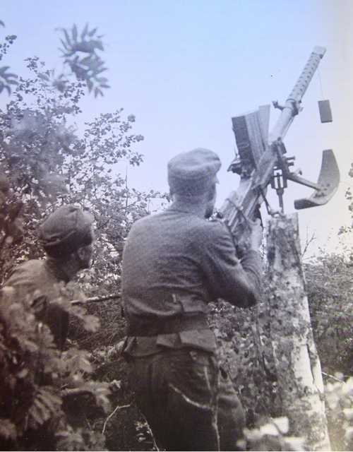 AA-rifle