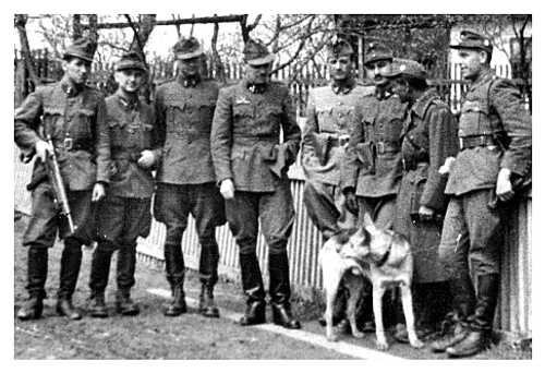 Border Guards and Mountain Troops, Hungary