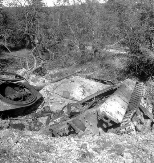 tiger 2 or Panther?