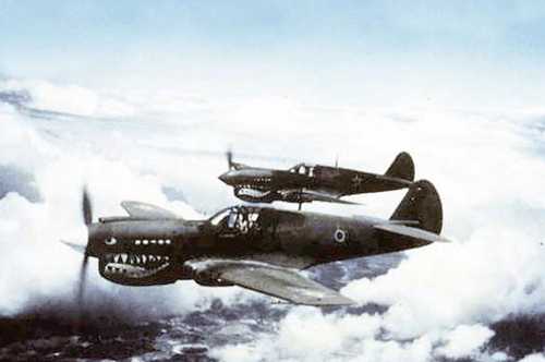 Brazilian Curtiss P-40 Warhawk
